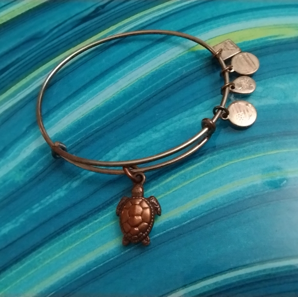 Alex and Ani Sea Turtle Charm Bracelet - Picture 11 of 13